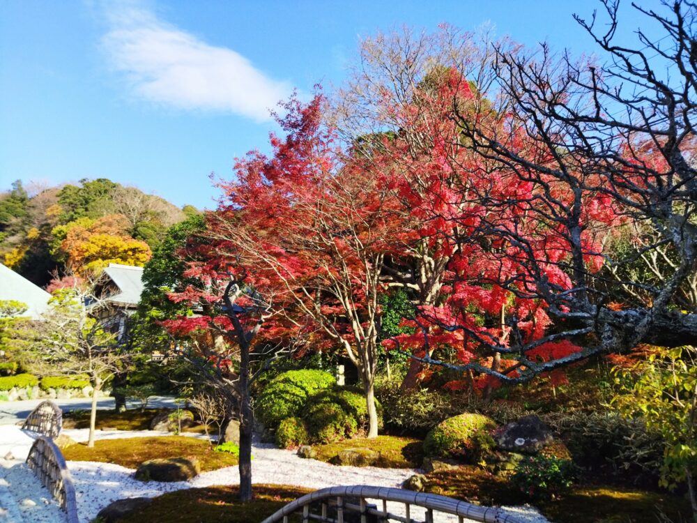 浄妙寺の紅葉