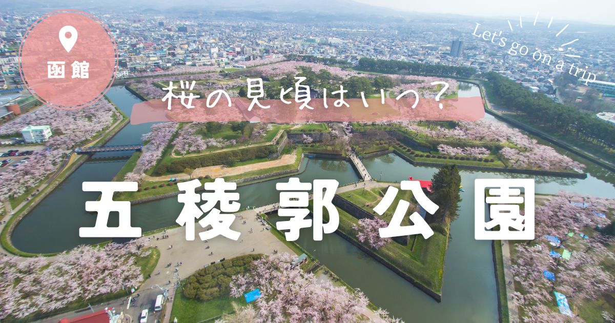 函館五稜郭公園の桜の見頃はいつ？周辺の観光スポットについても