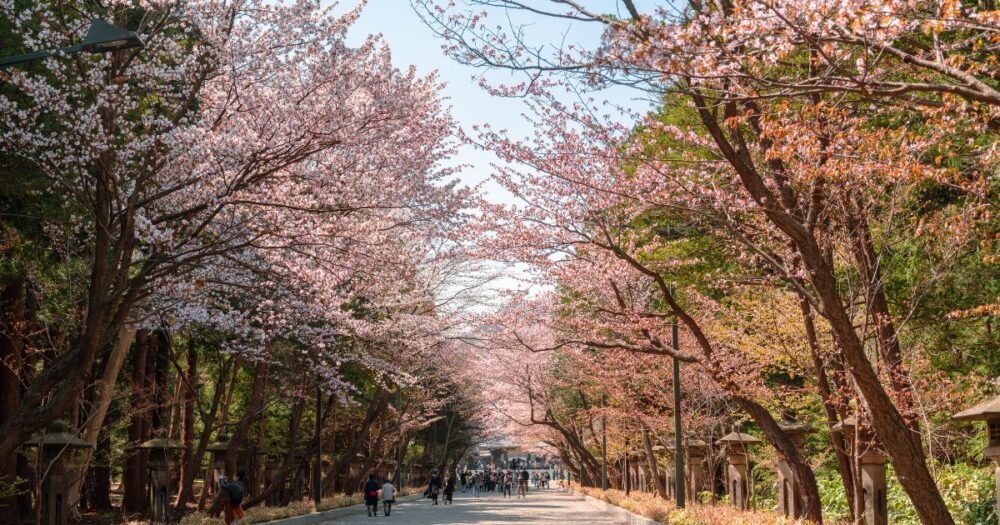 北海道神宮