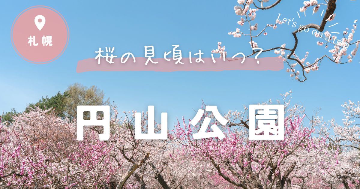 札幌円山公園の桜の見頃の時期はいつ？見どころと混雑状況についても