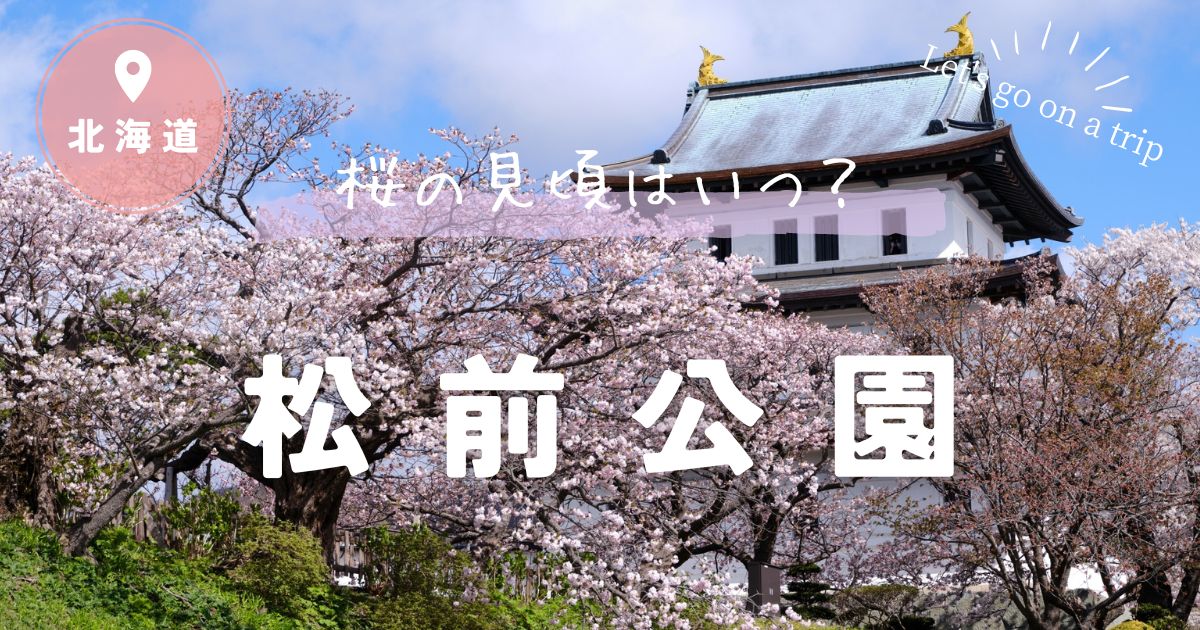 松前公園の桜の見頃はいつ？周辺の観光スポットについても