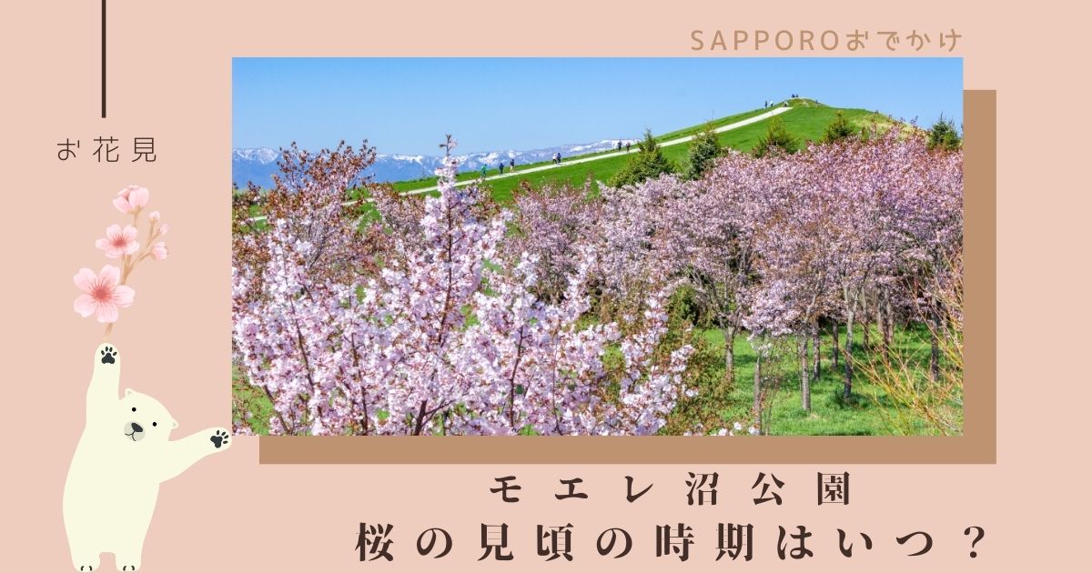 モエレ沼公園の桜の見頃はいつ？見どころについても