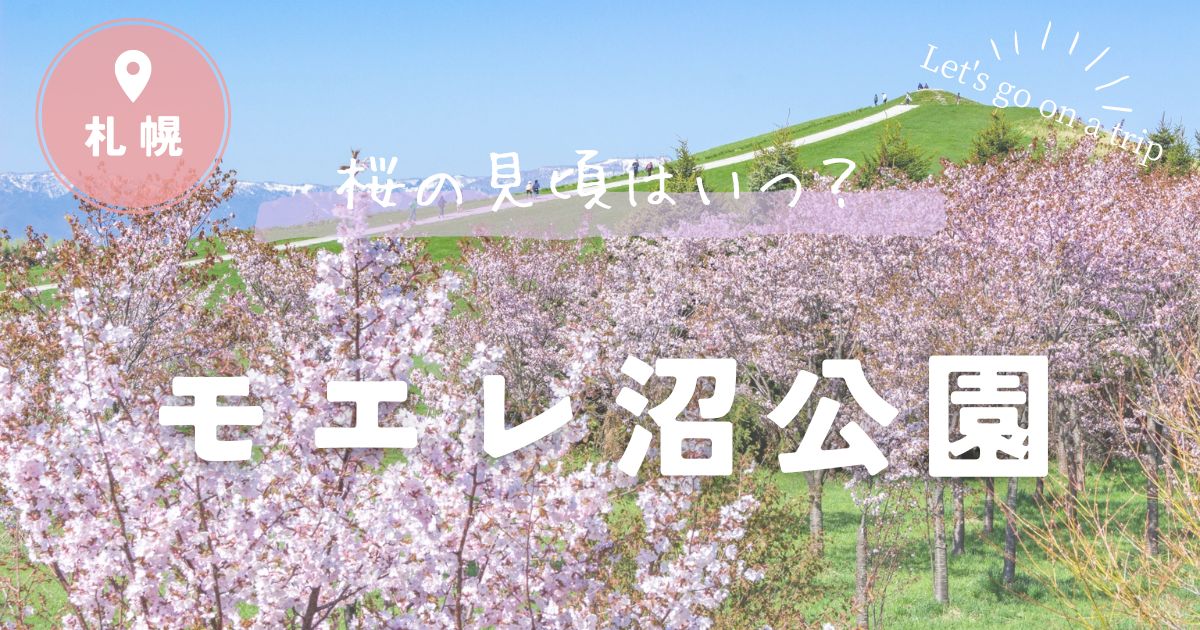 モエレ沼公園の桜の見頃はいつ？見どころについても