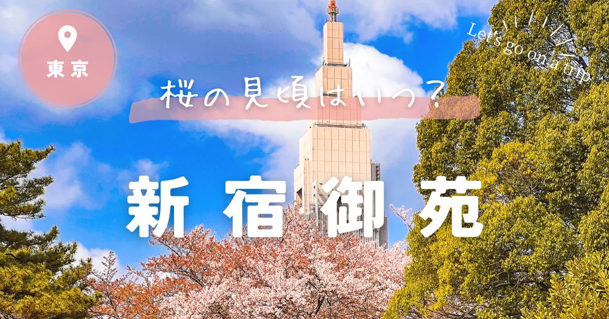 新宿御苑の桜の見ごろはいつ？予約方法と混雑状況についても