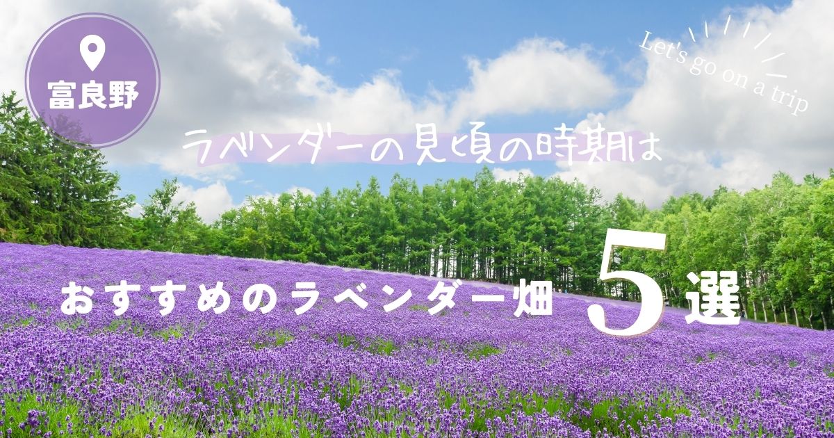 富良野のラベンダーの見頃の時期は？2024年おすすめのラベンダー畑について調査