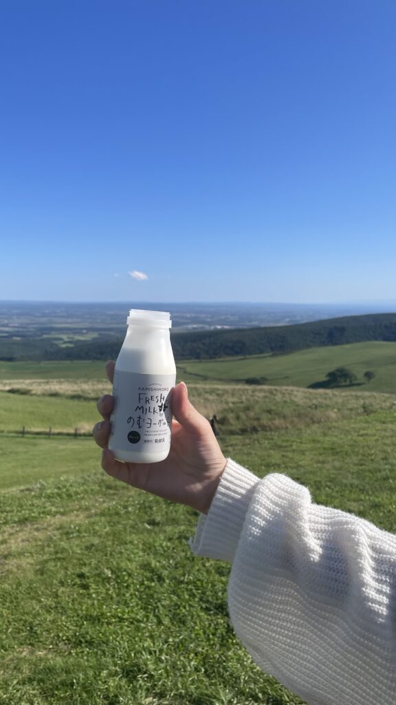 ナイタイテラス　飲むヨーグルト