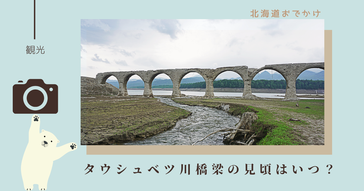 タウシュベツ川橋梁の見頃はいつ？展望台からの絶景とツアー情報