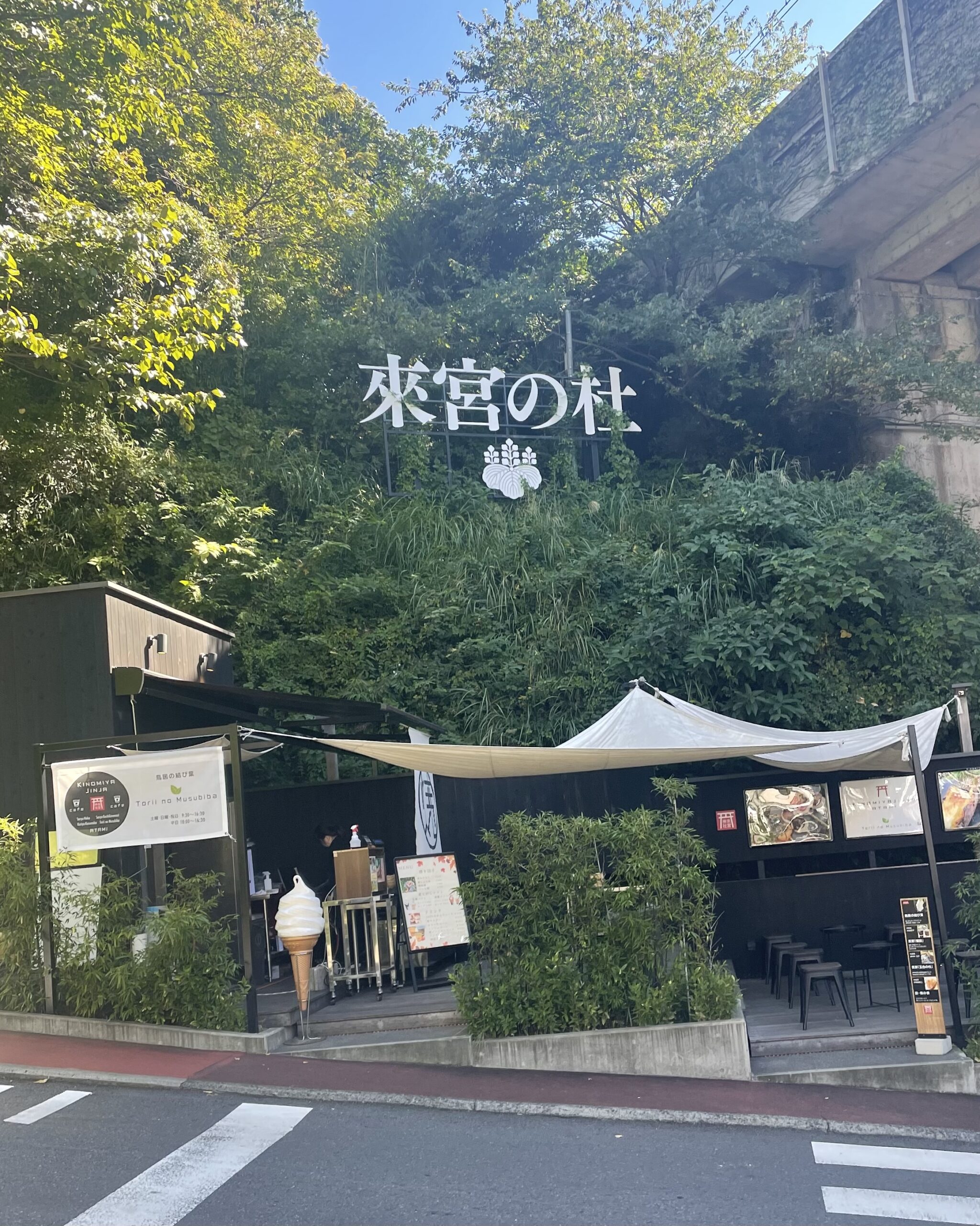 來宮神社 鳥居の結び葉