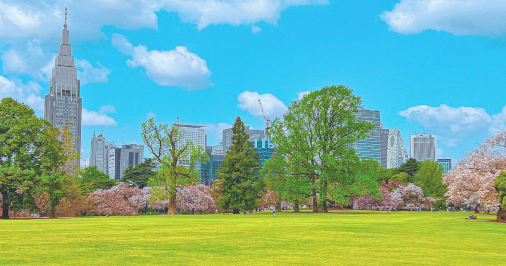 新宿御苑桜