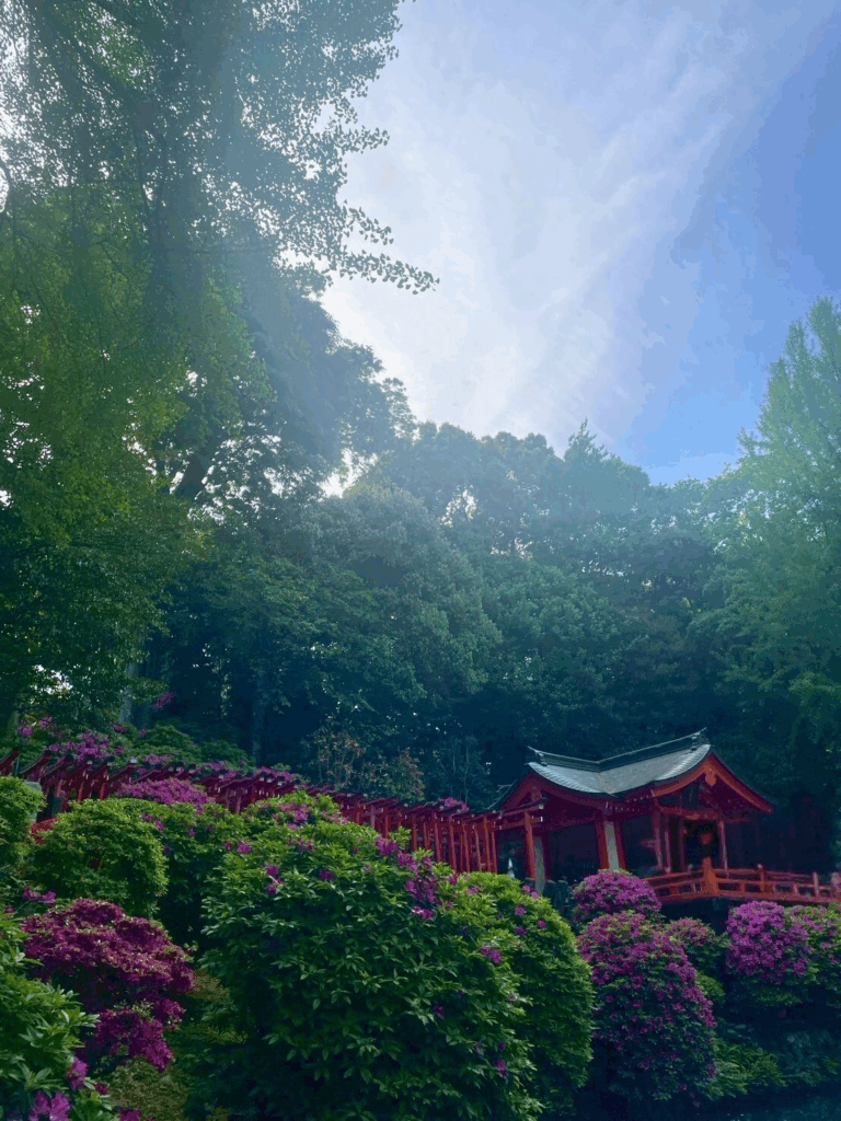 根津神社つつじと千本鳥居