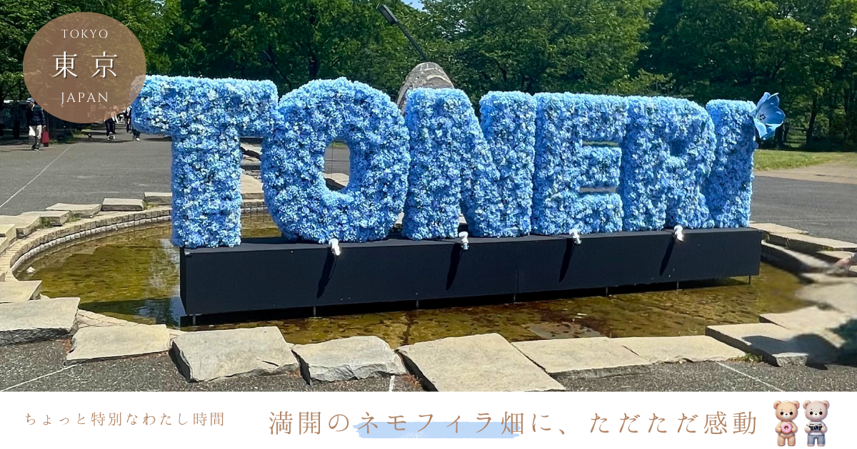 舎人公園ネモフィラが満開！2025春の体験レポ｜青い花畑と限定グルメが感動レベルだった話