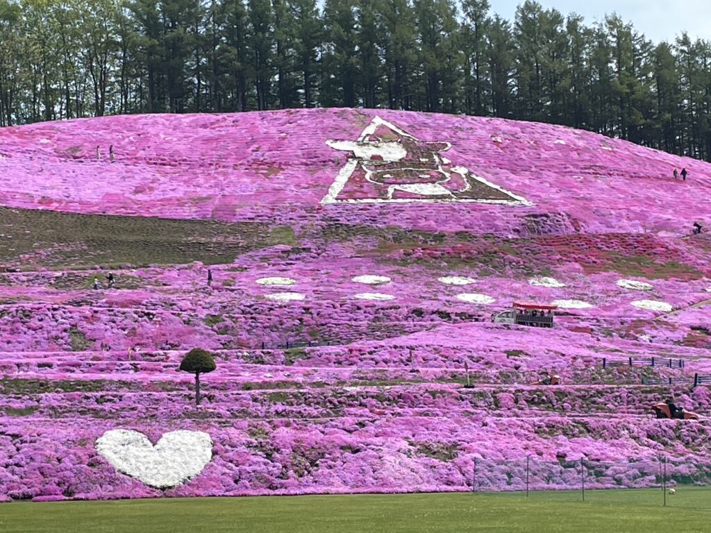 ひがしもこと芝桜公園