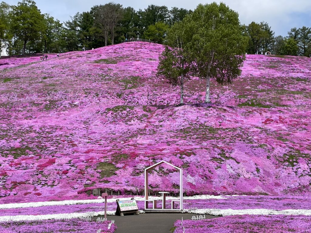 撮影スポット