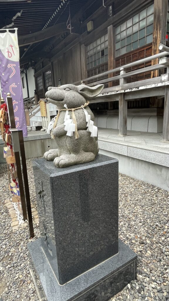 神兎：なでうさぎ