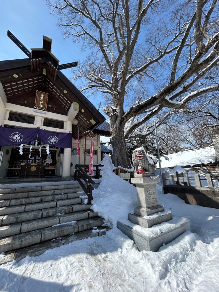 豊平神社の御神木